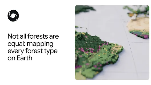 Beyond tree cover: mapping the world’s forest types