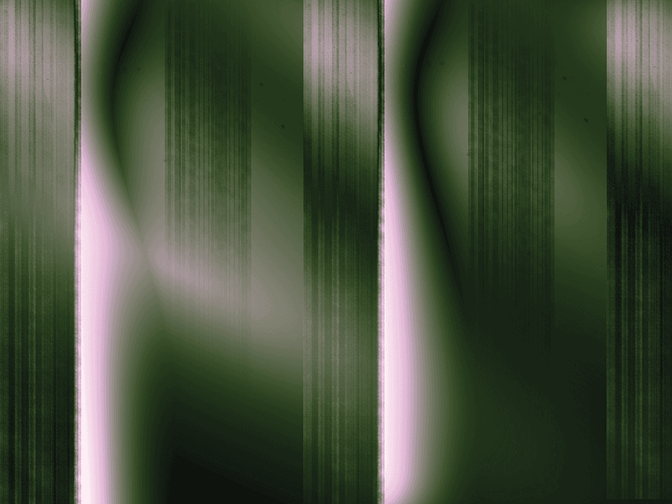 Poetry for Engineers: Of Code and Shortleaf Pine